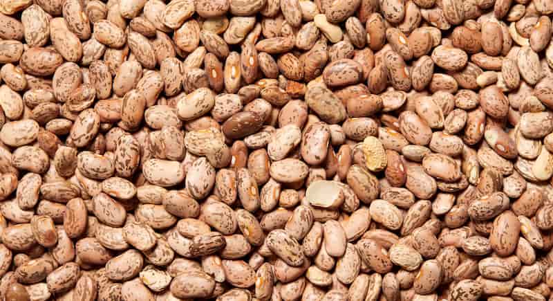قیمت خرید لوبیا چیتی خمین اراک + فروش ویژه